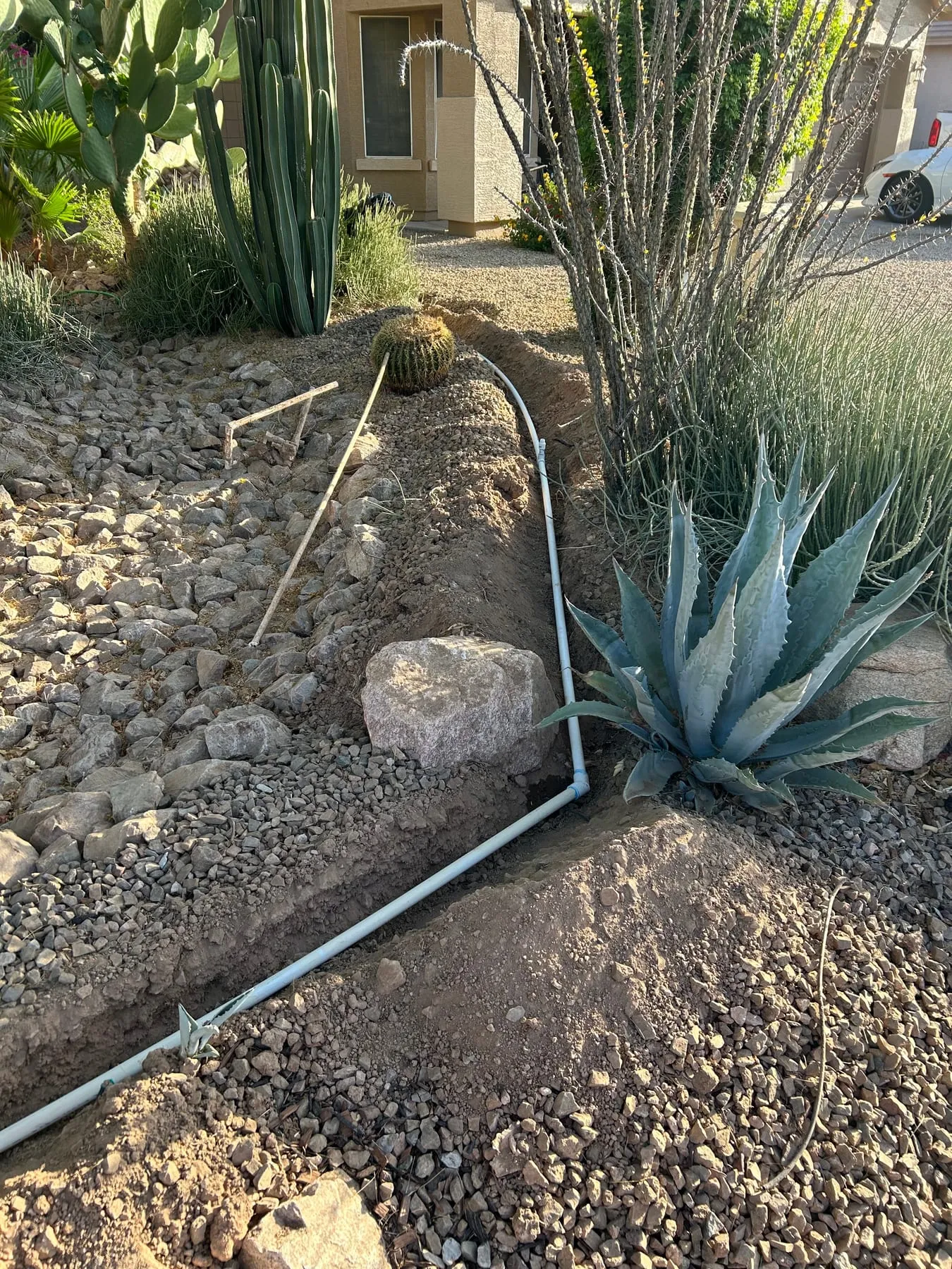 New PVC irrigation line run through a desert landscape with agave and cactus